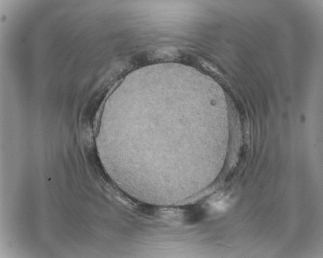 X0000070250617200606301627