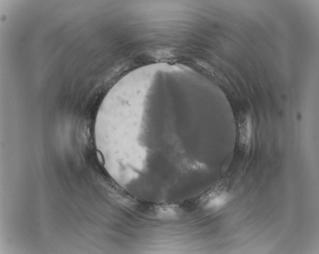 X0000070250618200606301627