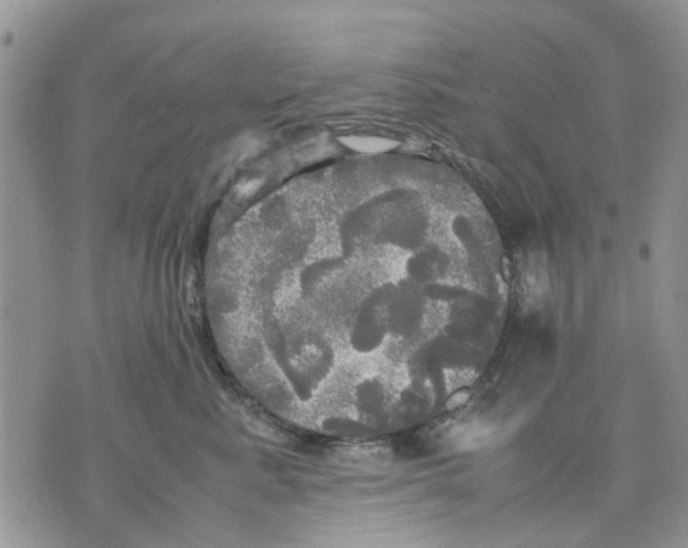 X0000070250619200606301627