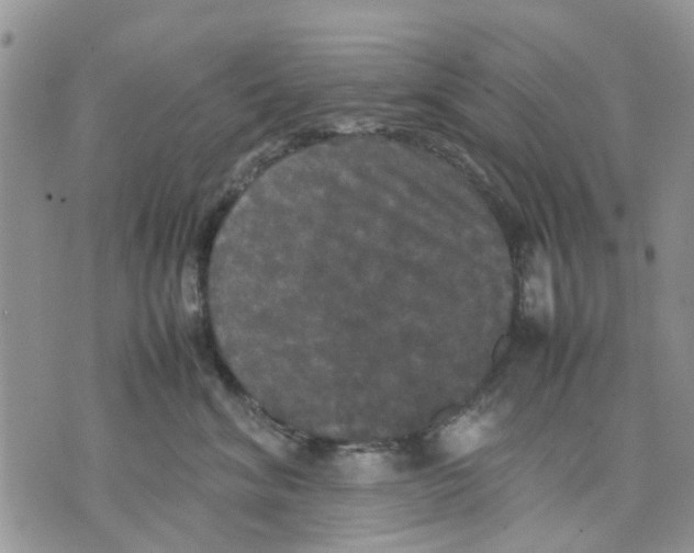 X0000070250620200606301627