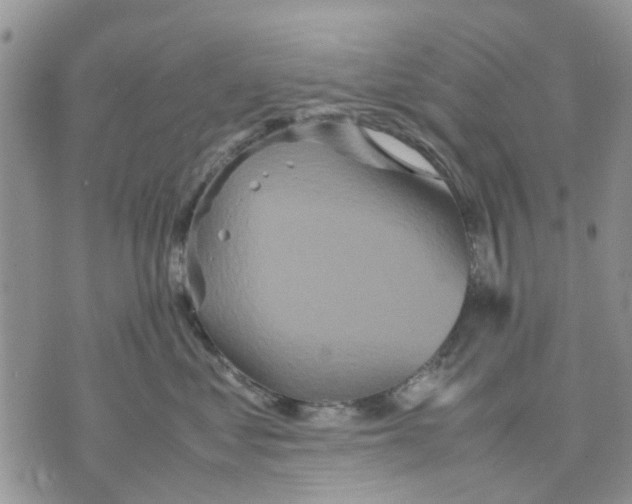 X0000070250621200606301627