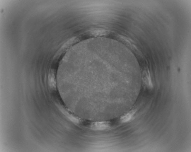 X0000070250622200606301627