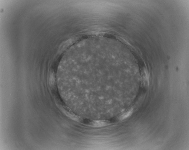 X0000070250623200606301627