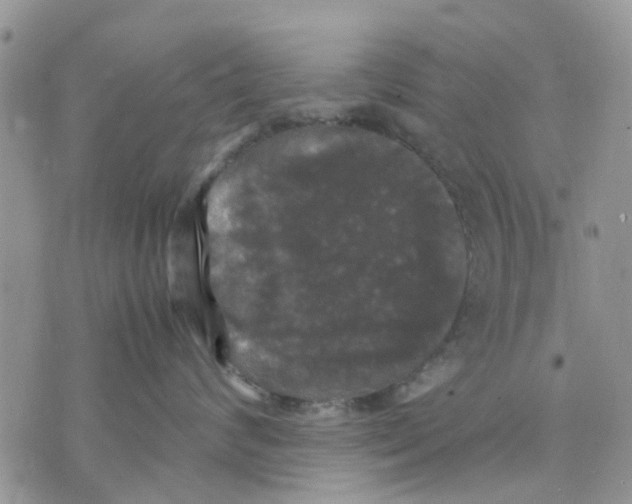 X0000070250624200606301627