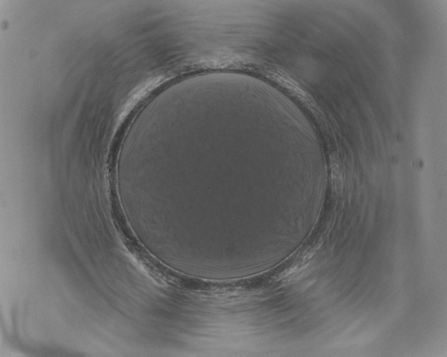 X0000070250626200606301626