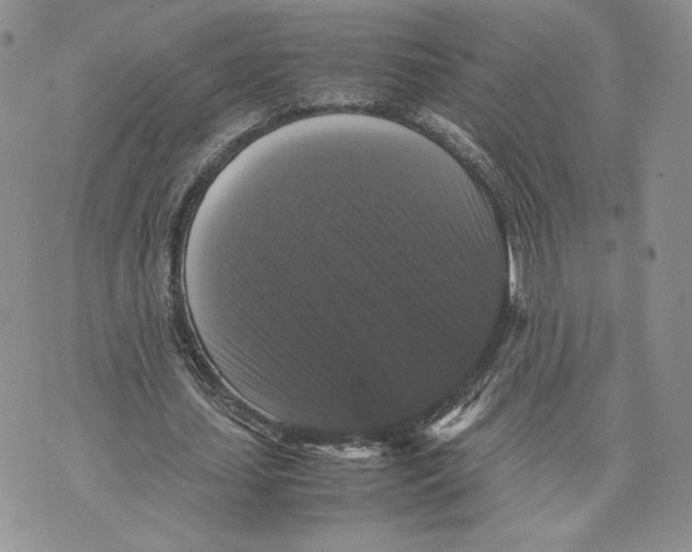 X0000070250627200606301626