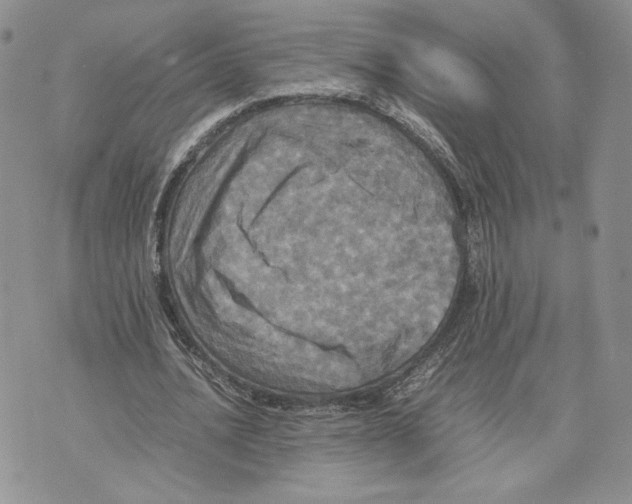 X0000070250628200606301626