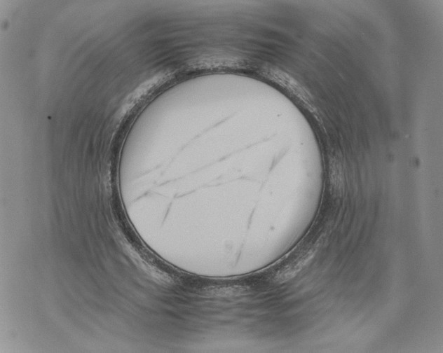 X0000070250629200606301626