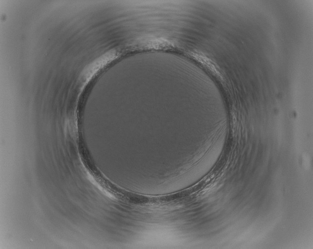 X0000070250630200606301626