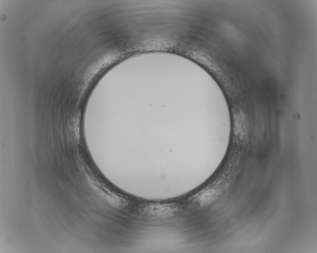 X0000070250632200606301626