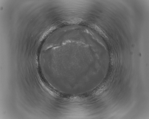 X0000070250634200606301627