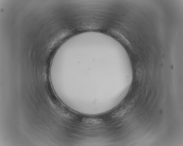 X0000070250635200606301627