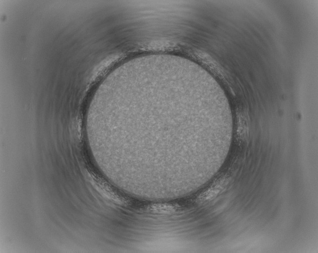 X0000070250636200606301627