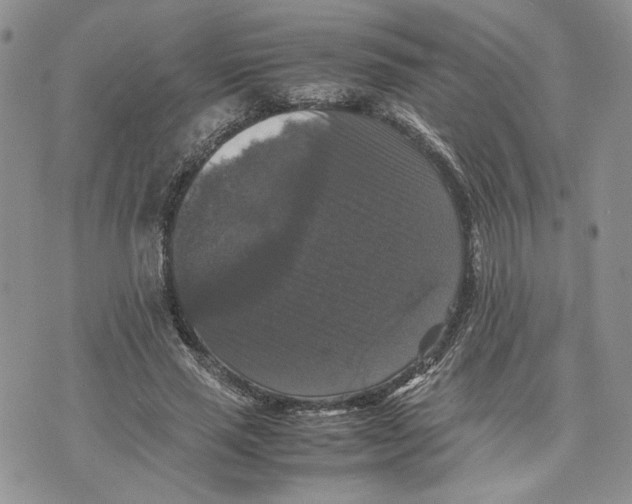 X0000070250637200606301627