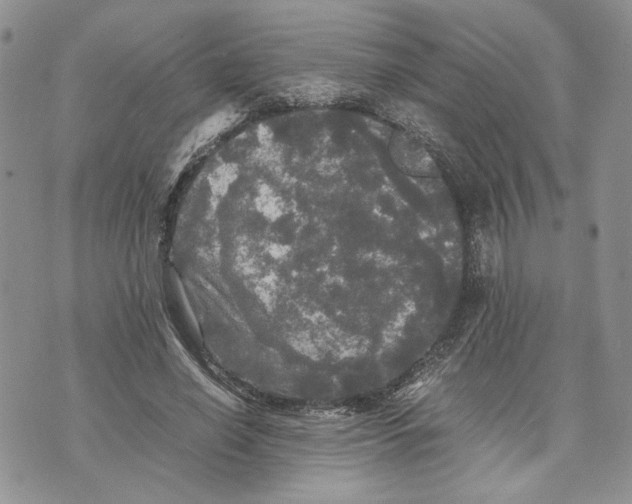 X0000070250638200606301627