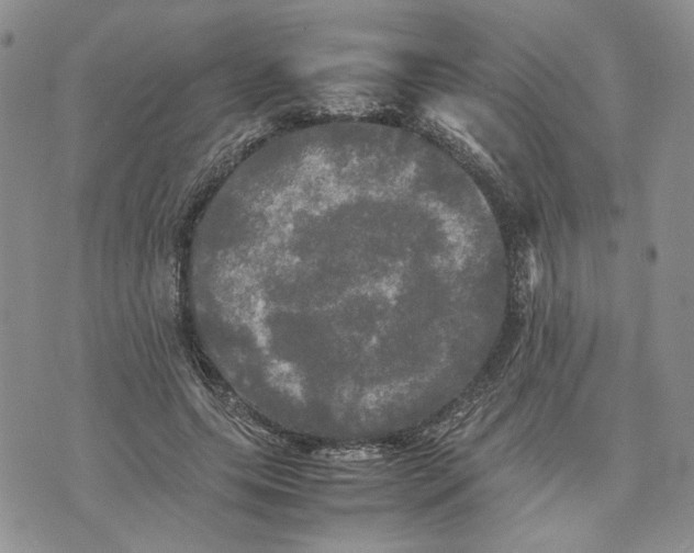 X0000070250639200606301627