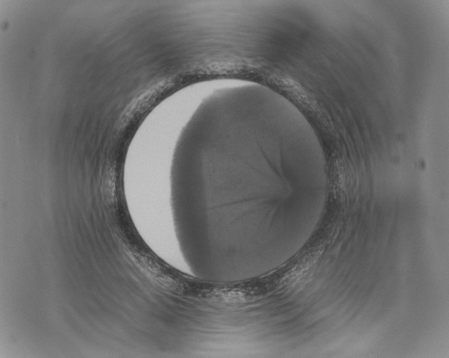 X0000070250640200606301627