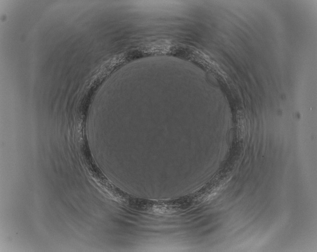 X0000070250641200606301627