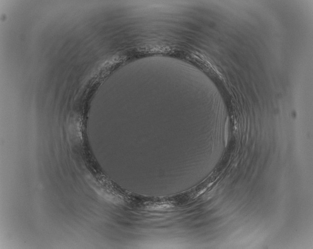 X0000070250643200606301627