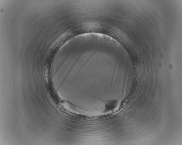 X0000070250644200606301627