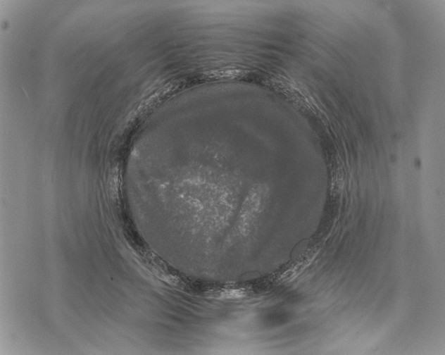 X0000070250647200606301627