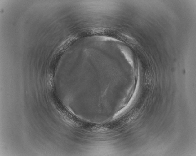 X0000070250648200606301627