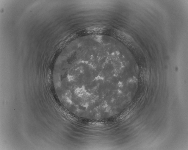 X0000070250649200606301627