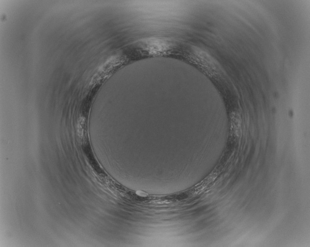 X0000070250650200606301627