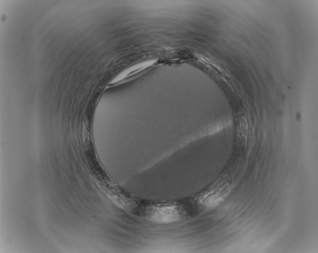 X0000070250651200606301627