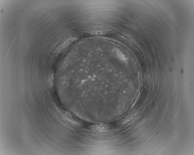 X0000070250652200606301627