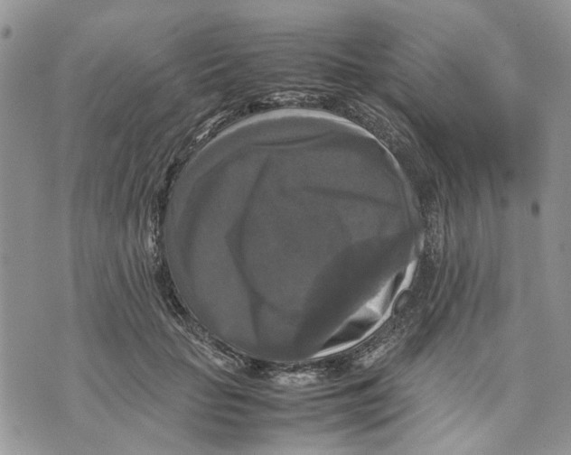 X0000070250653200606301627