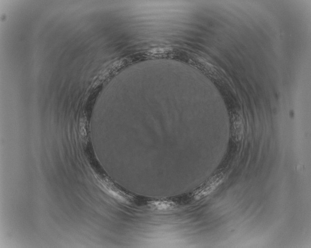 X0000070250654200606301627