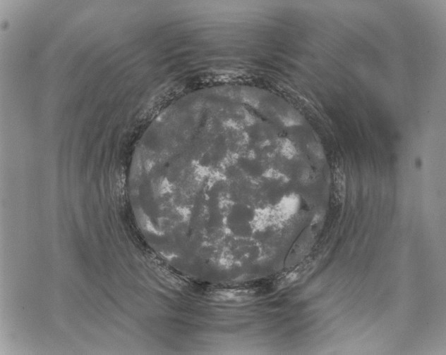 X0000070250657200606301627