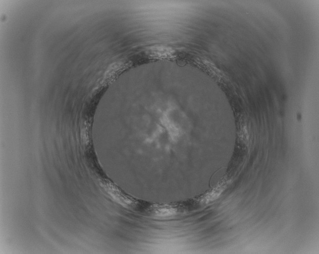 X0000070250658200606301627