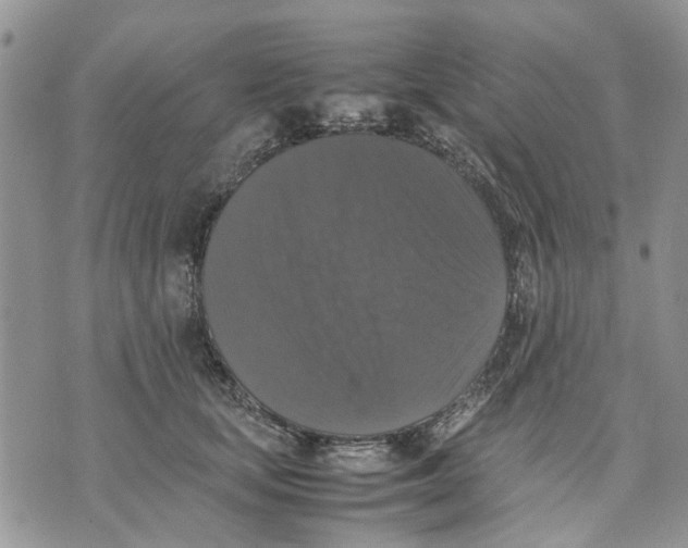 X0000070250659200606301627