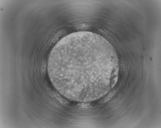 X0000070250660200606301627