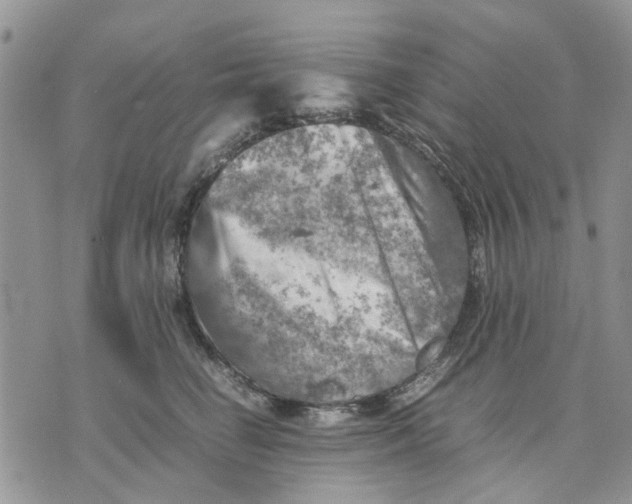 X0000070250662200606301627