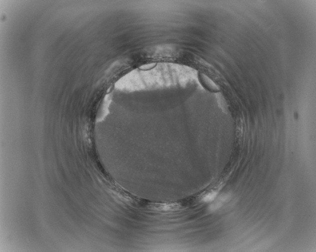 X0000070250663200606301627