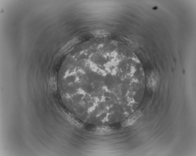 X0000070250666200606301627