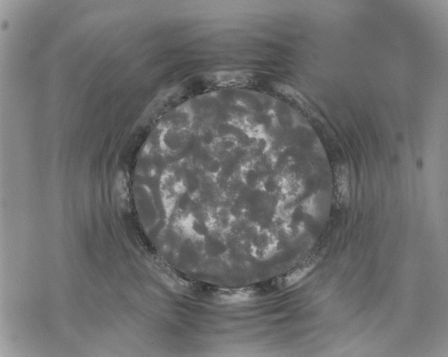 X0000070250667200606301627