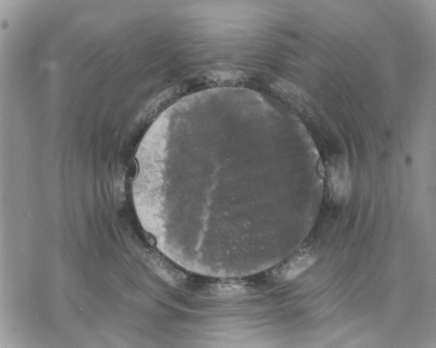 X0000070250668200606301627