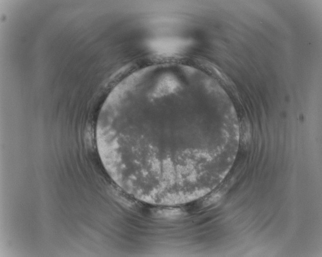 X0000070250669200606301627