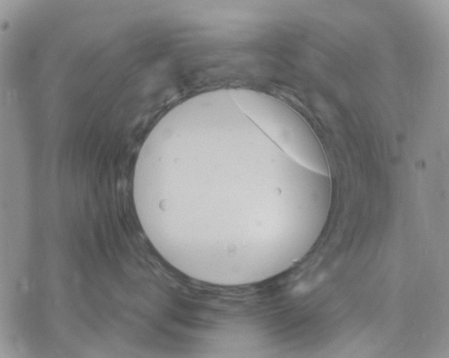 X0000070250672200606301627