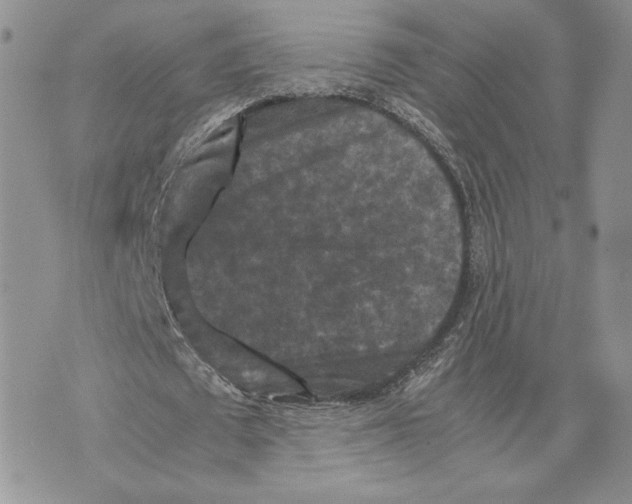 X0000070250673200606301626