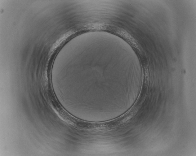 X0000070250674200606301626