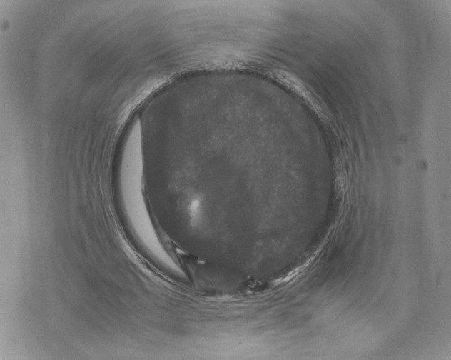 X0000070250677200606301626