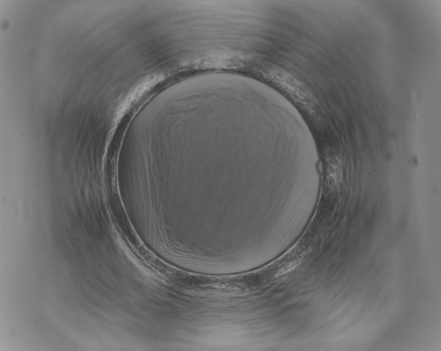 X0000070250678200606301626