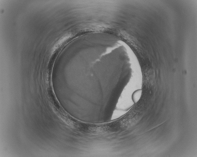 X0000070250679200606301626