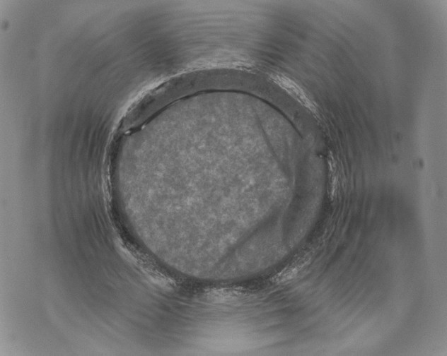 X0000070250680200606301626