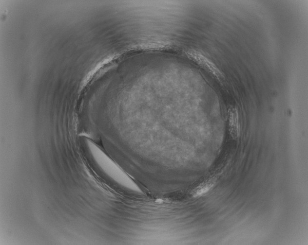 X0000070250684200606301626